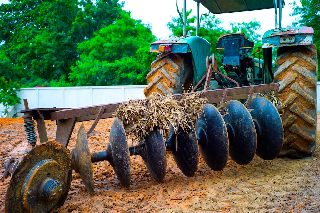 Sojay Farms Cassava Farm